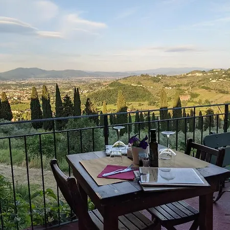La Fattoria Di Capezzana