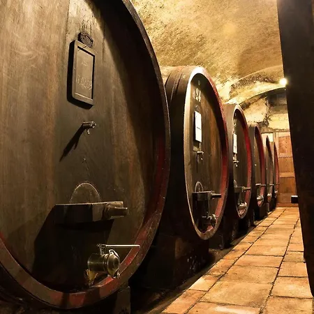 La Fattoria Di Capezzana