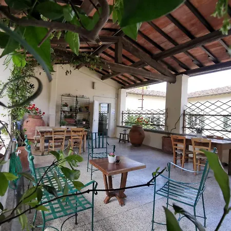 La Fattoria Di Capezzana Farm stay *