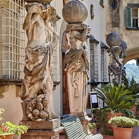 La Fattoria Di Capezzana