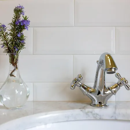 Farm stay La Fattoria Di Capezzana